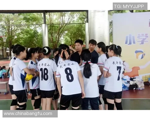 南京排球队在城市联赛中的团队协作表现分析与点评