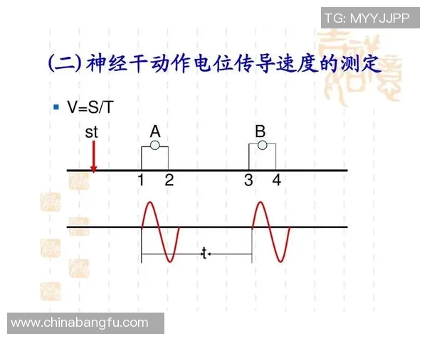杭州乒乓球队速度分析与提升策略的深度探讨与研究